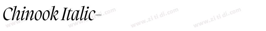 Chinook Italic字体转换 Chinook Italic字体转换